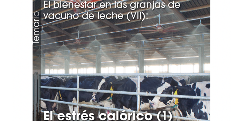 El bienestar en las granjas de vacuno de leche (VII): El estrés calórico (1)