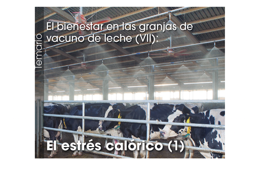 El bienestar en las granjas de vacuno de leche (VII): El estrs...