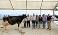 Molino Ruedas York Windbrook, de la ganadería Sarabia Isla SC, gana el I Concurso de Ganado Frisón Expogan en Santander