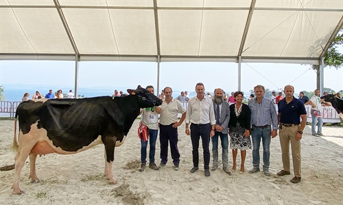 Molino Ruedas York Windbrook, de la ganadera Sarabia Isla SC, gana el...