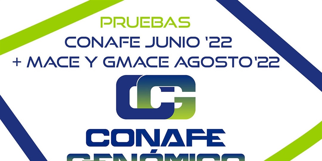 Nuevas pruebas CONAFE Junio 2022 + MACE y GMACE Agosto 2022