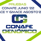 Nuevas pruebas CONAFE Junio 2022 + MACE y GMACE Agosto 2022