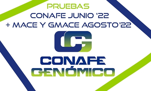 Nuevas pruebas CONAFE Junio 2022 + MACE y GMACE Agosto 2022