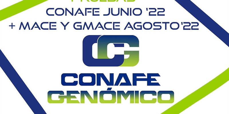 Nuevas pruebas CONAFE Junio 2022 + MACE y GMACE Agosto 2022