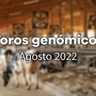 Nuevos toros genmicos con Prueba Oficial: Evaluacin genmica de agosto 2022