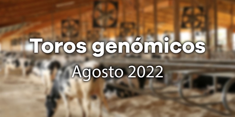 Nuevos toros genómicos con Prueba Oficial: Evaluación genómica de agosto 2022