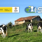 Concluye el muestreo de 8.000 vacas con datos fenot�picos de Salud y Bienestar del proyecto GO_I-SAB
