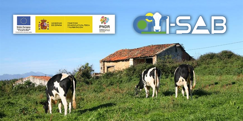 Concluye el muestreo de 8.000 vacas con datos fenotpicos de Salud y Bienestar del proyecto GO_I-SAB