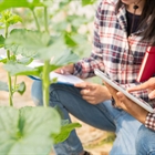 Abierta la inscripcin para un curso gratuito de emprendimiento en el medio rural del MAPA