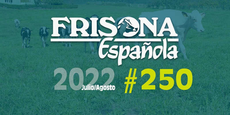 Ya disponible la revista Frisona Española nº 250