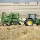 Los agricultores y ganaderos que suscriban el seguro agrario se beneficiarn del incremento de la subvencin estatal de la prima