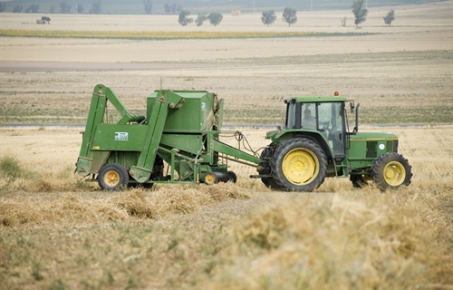 Los agricultores y ganaderos que suscriban el seguro agrario se...