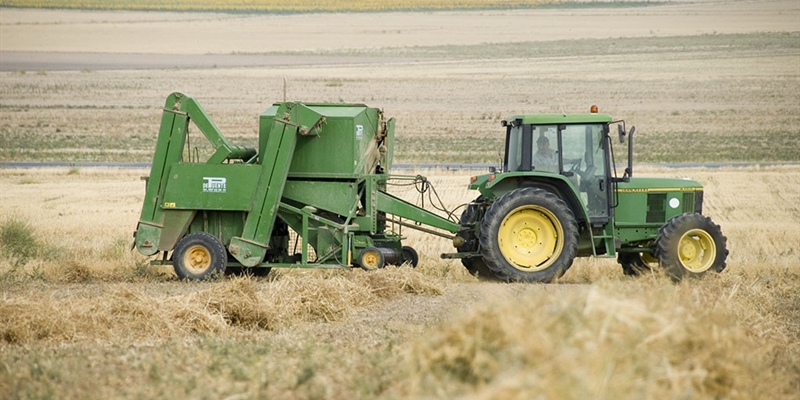 Los agricultores y ganaderos que suscriban el seguro agrario se beneficiarn del incremento de la subvencin estatal de la prima