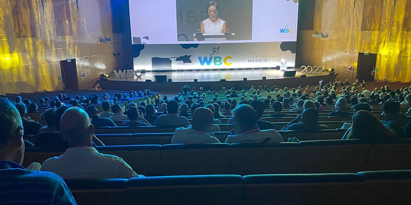 Los mejores veterinarios especialistas en rumiantes del mundo se renen desde ayer en Madrid para el Congreso Mundial de Buiatra