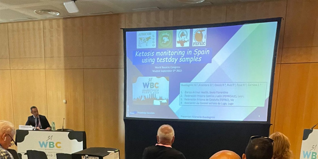 AFCA, AFRICOR Lugo y Corua, FEFRICALE y FEFRIC, presentes en el...