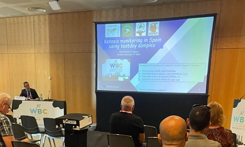 AFCA, AFRICOR Lugo y Corua, FEFRICALE y FEFRIC, presentes en el...