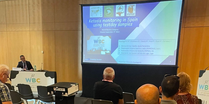 AFCA, AFRICOR Lugo y Coru�a, FEFRICALE y FEFRIC, presentes en el Congreso Mundial de Buiatr�a