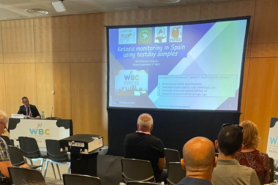 AFCA, AFRICOR Lugo y Coru�a, FEFRICALE y FEFRIC, presentes en el...