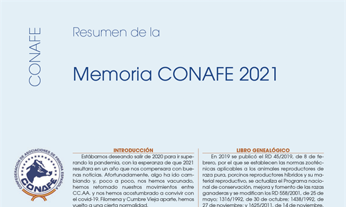 Resumen de la Memoria CONAFE 2021