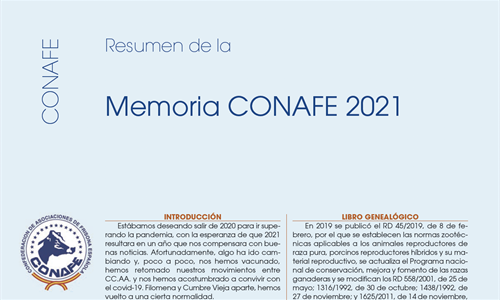 Resumen de la Memoria CONAFE 2021