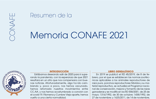 Resumen de la Memoria CONAFE 2021