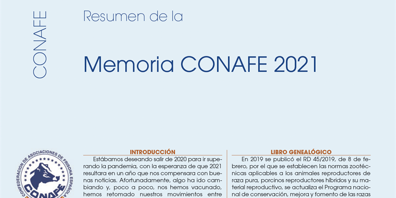 Resumen de la Memoria CONAFE 2021