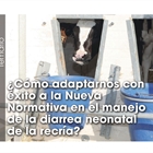 Cmo adaptarnos con xito a la Nueva Normativa en el manejo de la diarrea neonatal de la recra?