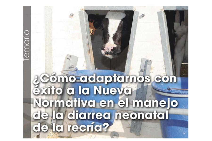 Cmo adaptarnos con xito a la Nueva Normativa en el manejo de la...