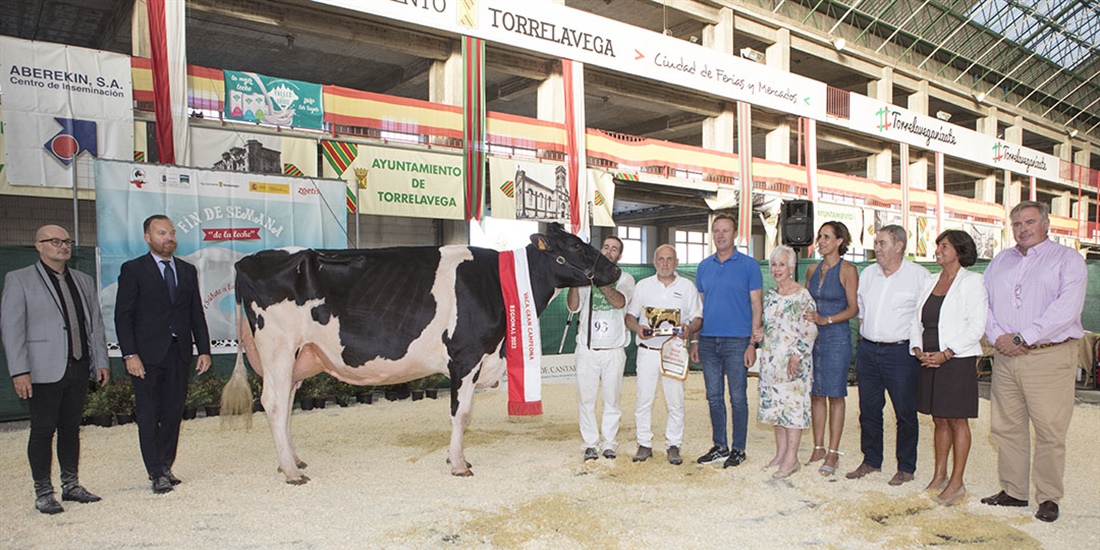 Llera Byway Lerela, de Llera Her, Vaca Gran Campeona de Cantabria 2022