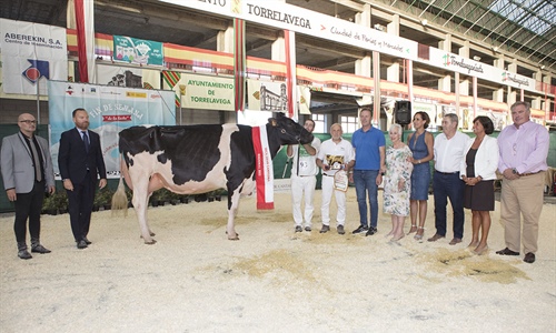 Llera Byway Lerela, de Llera Her, Vaca Gran Campeona de Cantabria 2022