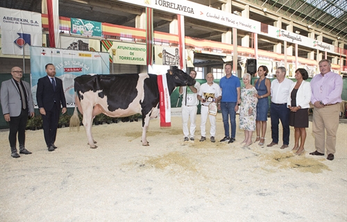 Llera Byway Lerela, de Llera Her, Vaca Gran Campeona de Cantabria 2022