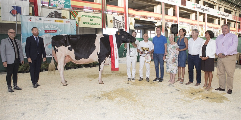 Llera Byway Lerela, de Llera Her, Vaca Gran Campeona de Cantabria 2022