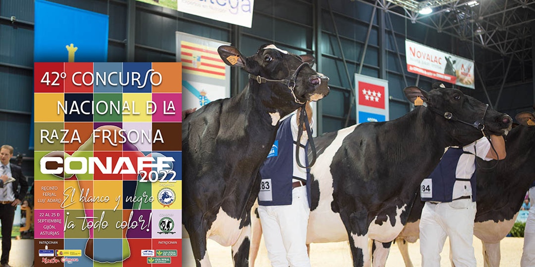 Todo preparado para celebrar la 42 edicin del Concurso Nacional de la...