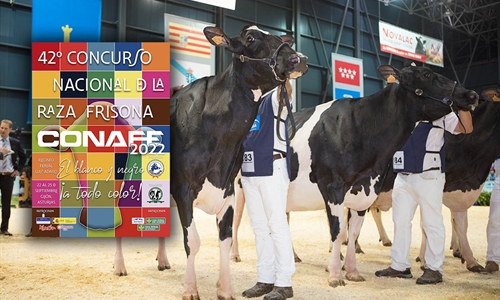 Todo preparado para celebrar la 42 edicin del Concurso Nacional de la...