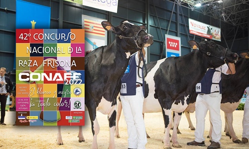 Todo preparado para celebrar la 42 edicin del Concurso Nacional de la...