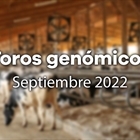 Nuevos toros genómicos con Prueba Oficial: Evaluación genómica de septiembre 2022