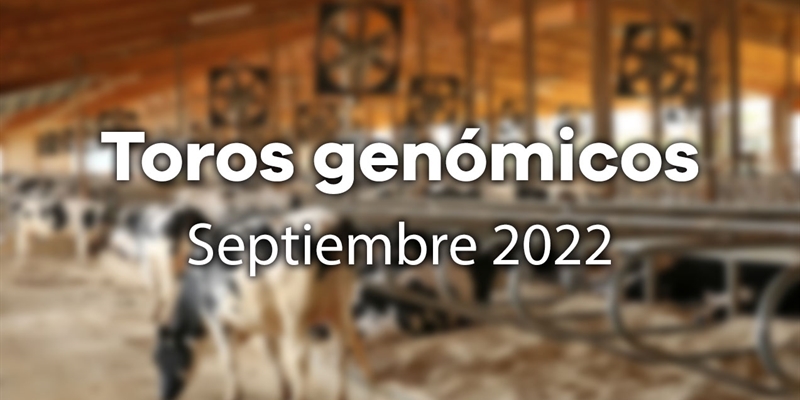 Nuevos toros genmicos con Prueba Oficial: Evaluacin genmica de septiembre 2022