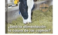 Ser la alimentacin la causa de las cojeras?