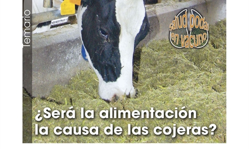 Ser la alimentacin la causa de las cojeras?