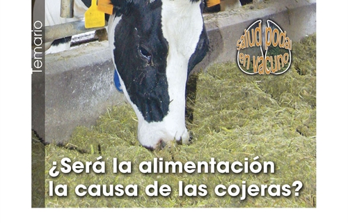 Ser la alimentacin la causa de las cojeras?