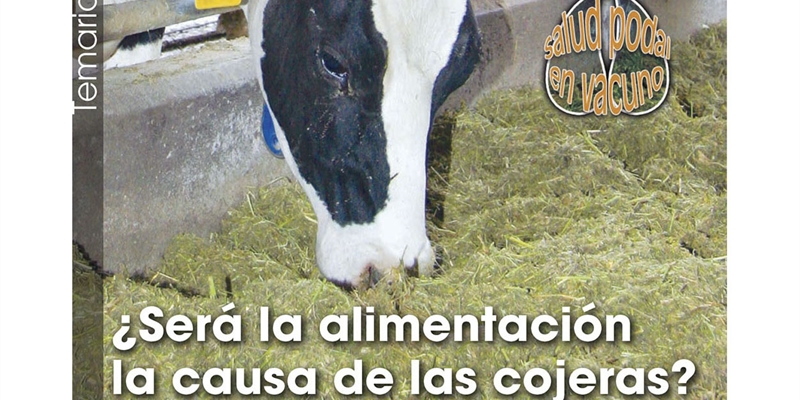 Ser la alimentacin la causa de las cojeras?