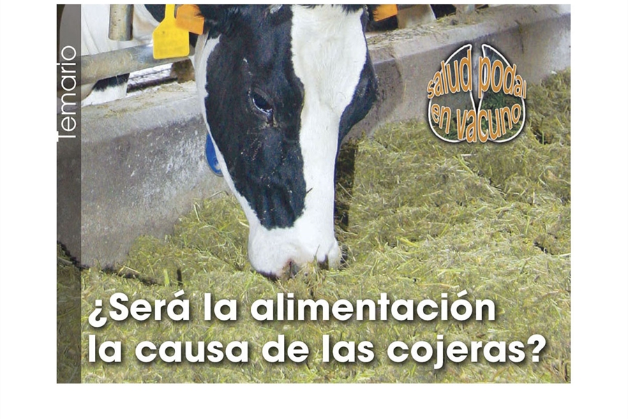 Ser la alimentacin la causa de las cojeras?