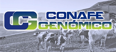 Actualización de las pruebas genómicas de Hembras CONAFE Septiembre 2022