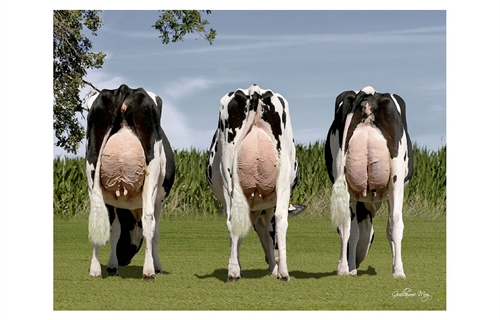 Presentaci�n del proyecto Diferenciaci�n de C�lulas Som�ticas, por...