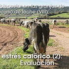 El bienestar en las granjas de vacuno de leche (VIII): El estrs calrico (2): Evaluacin