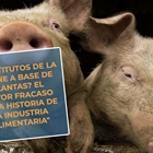 #RealidadGanadera: Sustitutos de la carne a base de plantas? El mayor fracaso en la historia de la industria alimentaria