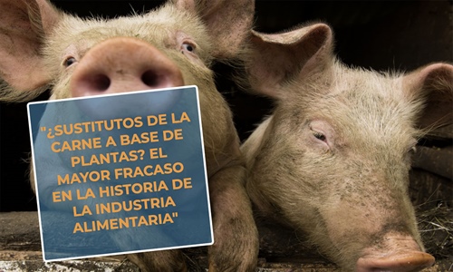 #RealidadGanadera: Sustitutos de la carne a base de plantas? El mayor...