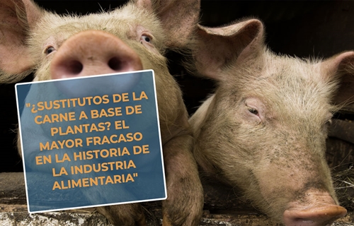 #RealidadGanadera: Sustitutos de la carne a base de plantas? El mayor...