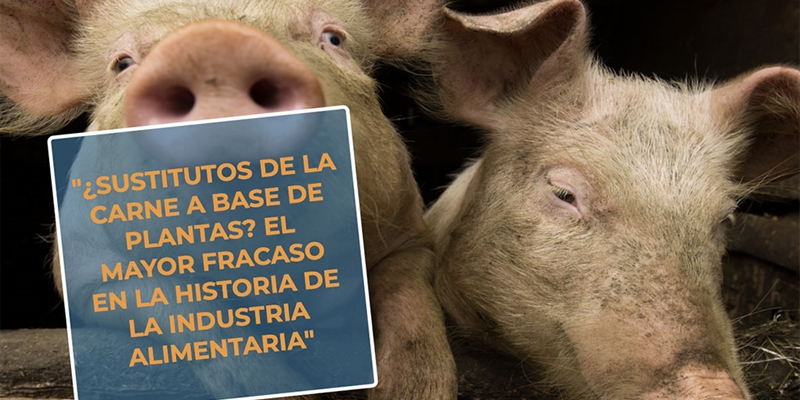 #RealidadGanadera: Sustitutos de la carne a base de plantas? El mayor fracaso en la historia de la industria alimentaria
