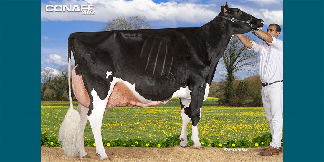 Fotos oficiales del 42� Concurso Nacional de la Raza Frisona CONAFE 2022